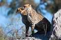 20090618_093846 D300 X1